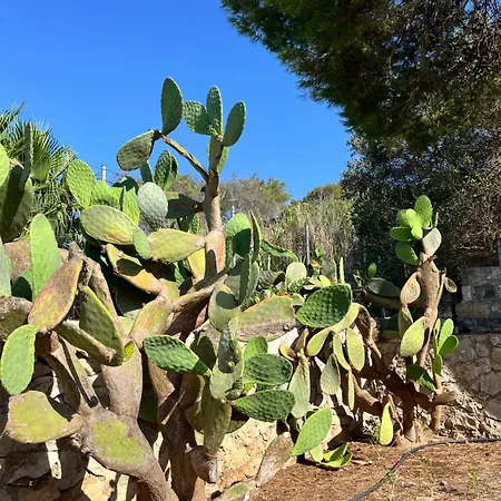 شقة Casa L'orizzonte